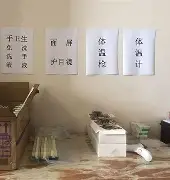 叶利钦访美克林顿仰天大笑